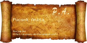 Pucsek Anita névjegykártya